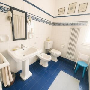 Bagno moderno blu e bianco con vasca pedistallo e radiator.