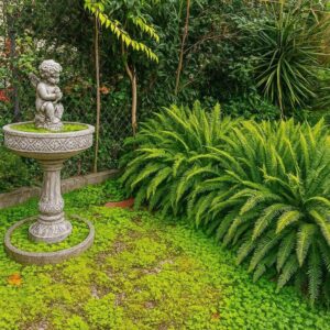 Fontana vintage, cherubino e sago palm in giardino tranquillo.
