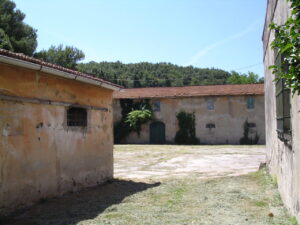 Patio antico con mura diramate e alberi dietro, illuminato dal sole.