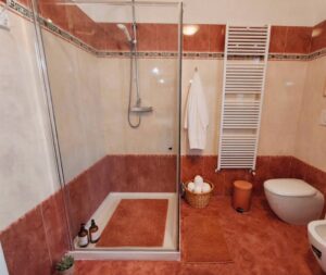 Bagno con terracotta e shower moderno: ambienti caldi e funzionali.