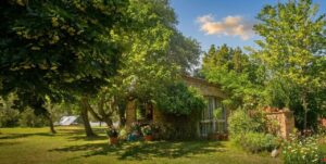 Casale toscano con parco e piscina vicino Firenze, tra fiori e alberi sotto il sole.