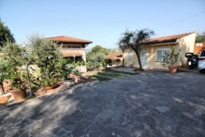 Villa storica panoramica con cortile mediterraneo, ulivi e parco.