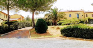 Una strada curva con pini e palme, assistendo anziani e migliorando il quartiere.