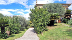 Un vialetto di pietra tra palme e arbusti conduce a una villa mediterranea in stile raffinato.