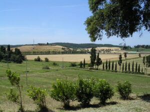 Prateria con cipressi e colline sottolineate da sole luminoso.