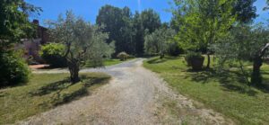 Strada di ghiaia in casale toscano con parco e piscina vicino Firenze, tra alberi e prato.