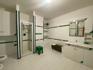 Bagnato pristino con striature verdi, docce e vanite, ambiente istituzionale.
