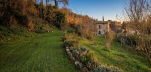 Sentiero erboso verso casa di campagna tra colline boscose, alberi spogli e luce dorata serale