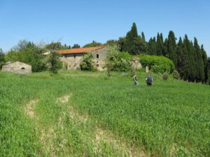 Praia verdeggiante, salita e antico edificio tra cipressi, chiaro di sole.