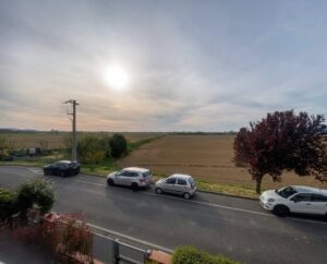 Strada serpentina tra campi maturi, auto parcheggiate, albero rigoglioso.