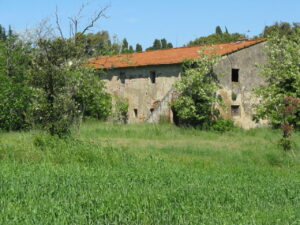 Abbandonato casolare tra praterie verdi, tetti rossi e nature in fioritura.