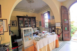 Sala storica con mostra, teca in vetro e vista sul giardino