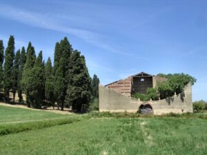 Paesaggio sereno con vecchio magazzino, prato verde e cipressi.