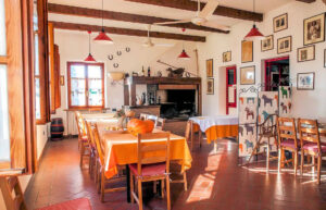 Tavola in legno rettangolare con tovaglia gialla, sedie rosee, luce naturale douche.