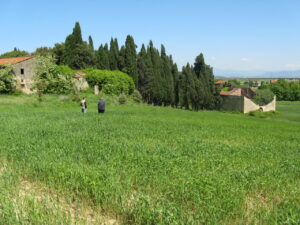 Campi verdi e ruine, figure che pascolano in lontana valle.
