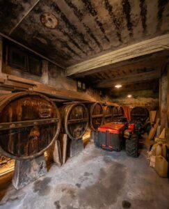 Cantina rustica con botti di legno e trattore arancione tra bottiglie di vino appese.